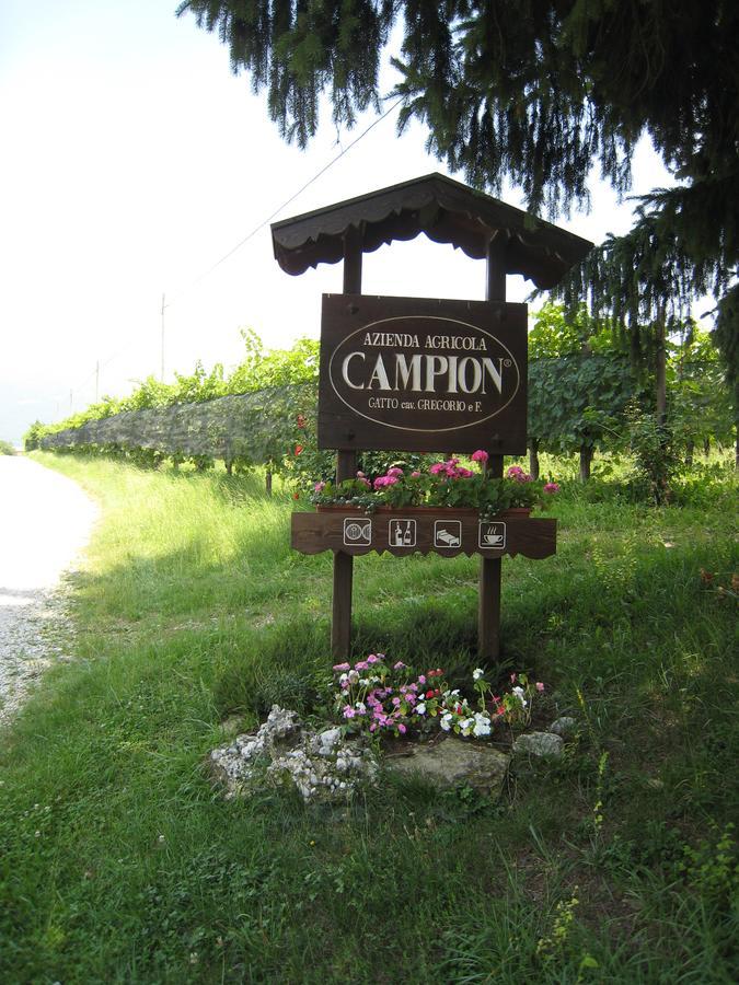 Azienda Agricola Campion Valdobbiadene Buitenkant foto