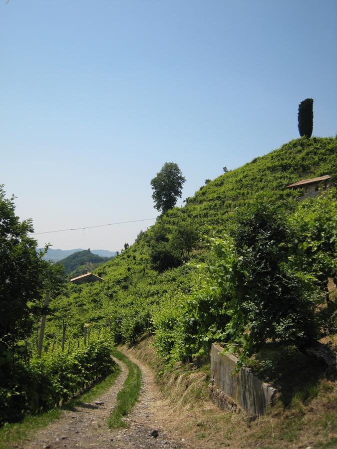 Azienda Agricola Campion Valdobbiadene Buitenkant foto